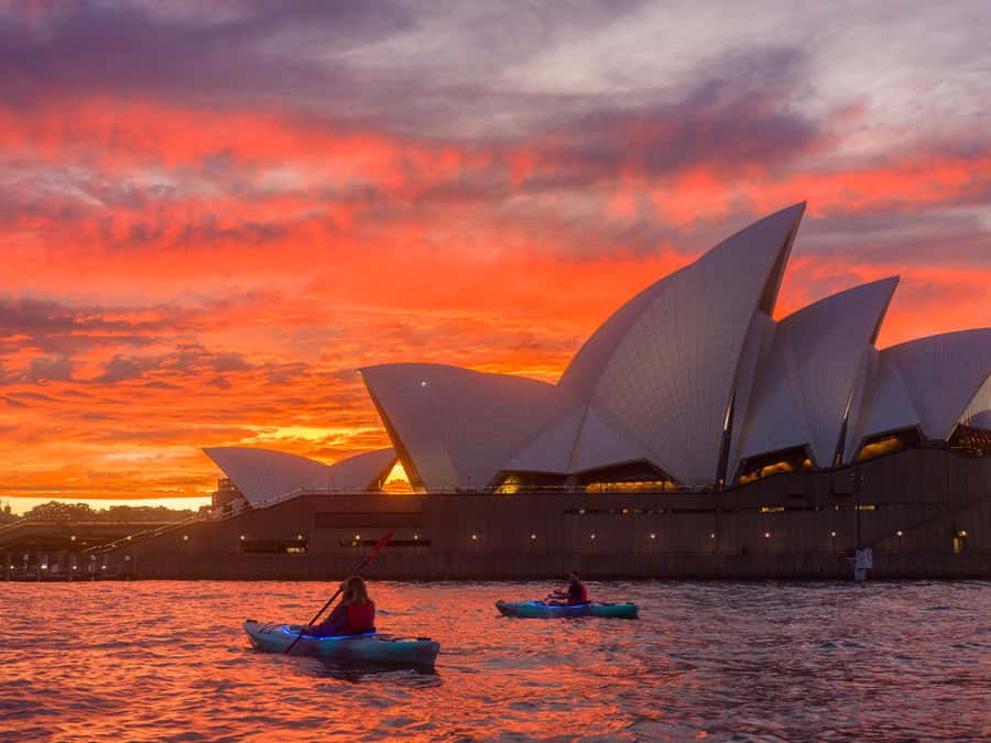 Sydney: Harbour Sunrise Kayak Tour - Whale Watching and Dolphin Checks: What’s Included and How to Maximize It