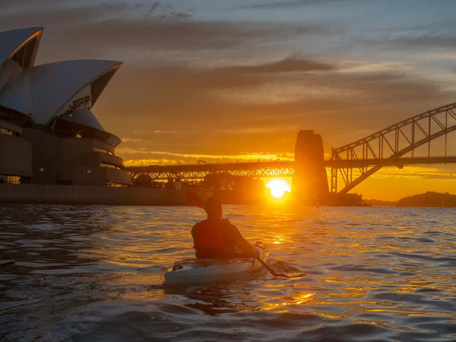 Sydney: Harbour Sunrise Kayak Tour - Coffee and Croissant at Navy Bear Cafe: The Best Kind of Finish