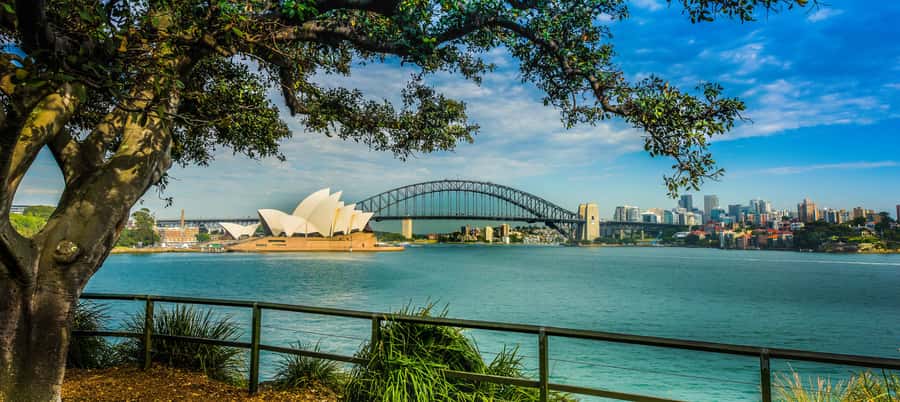 Sydney Harbour to Bondi: Small Group Half–Day Experience - QVB, Centrepoint, Oxford Street, and Darling Harbour Energy