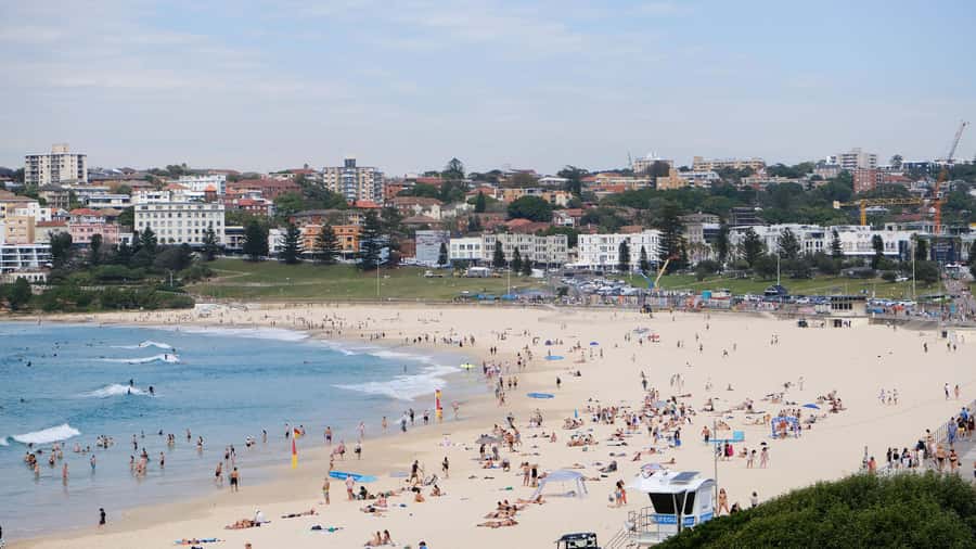 Sydney Harbour to Bondi: Small Group Half–Day Experience - Bondi Beach Promenade Time: Coffee Break Logic and Photo Stops