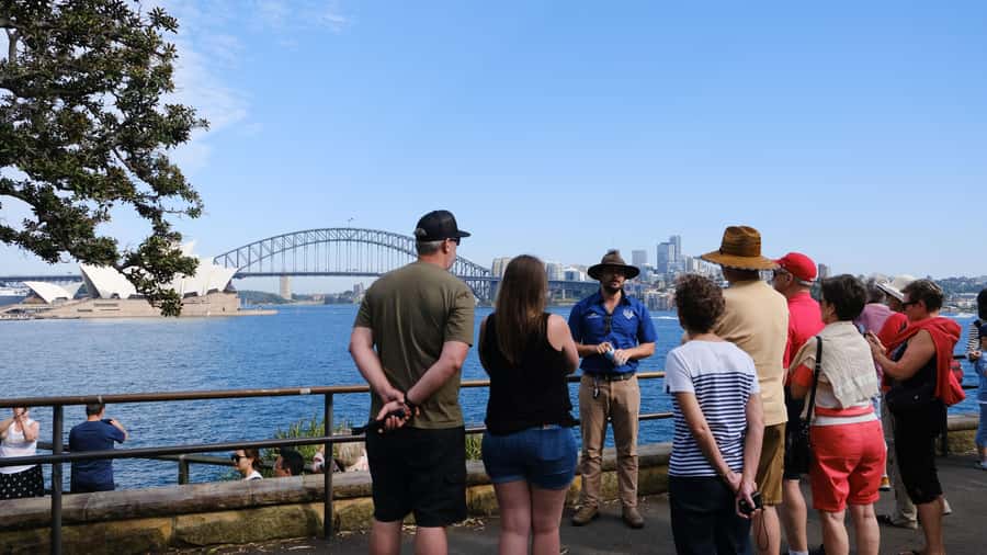 Sydney Harbour to Bondi: Small Group Half–Day Experience - Dover Heights, Double Bay, Kings Cross, and Mrs Macquarie’s Final Views