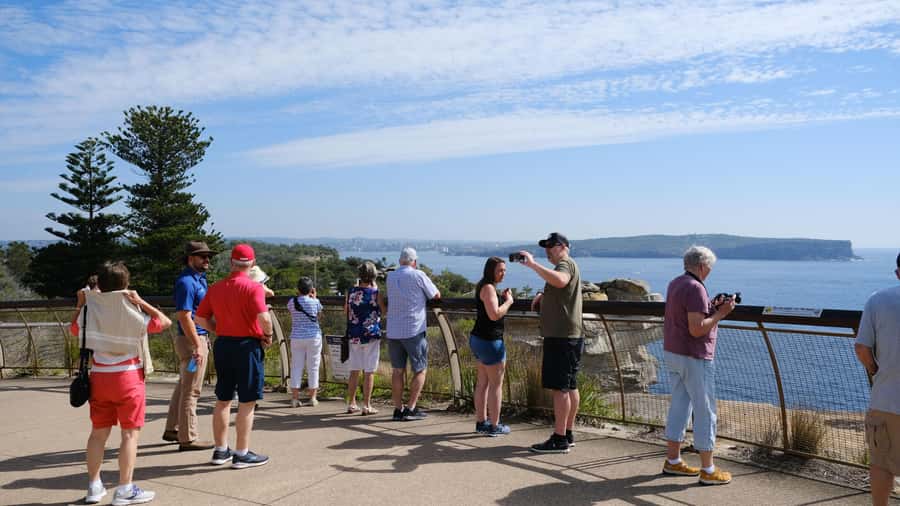 Sydney Harbour to Bondi: Small Group Half–Day Experience - Morning vs Afternoon: Picking the Timing That Matches Your Plans