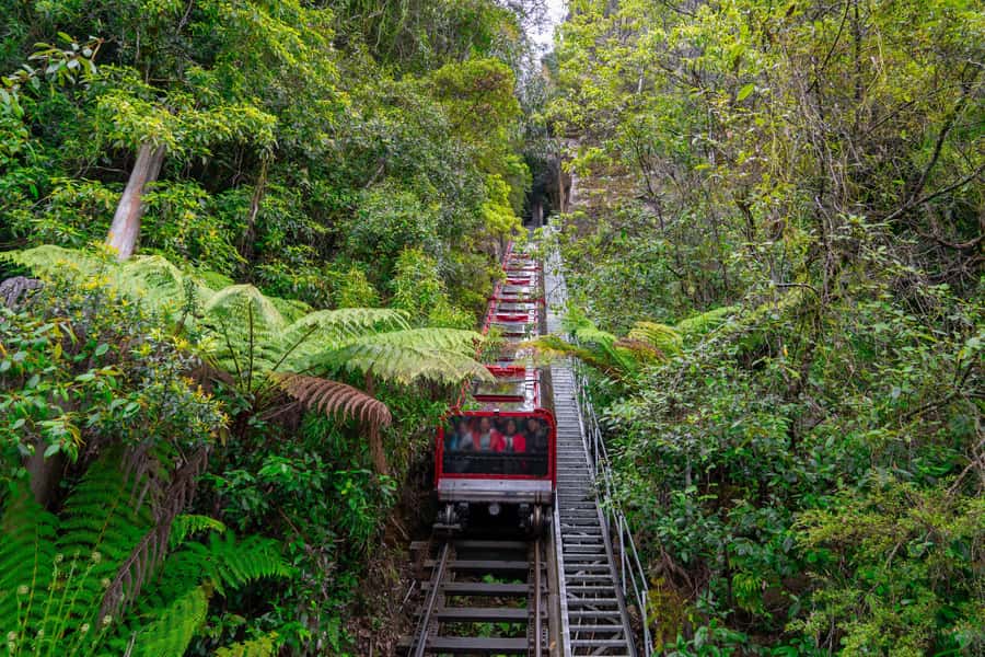 Sydney: Heritage Zig Zag Steam Train and Blue Mountains Tour - Parramatta River sunset ferry cruise: what the “cruise” likely feels like