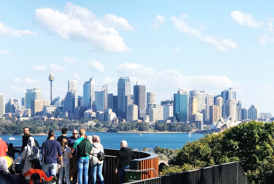 Sydney: Hop-on Hop-off Harbour Cruise with Commentary - Watsons Bay and South Head: seafood vibes and a walk with payoff