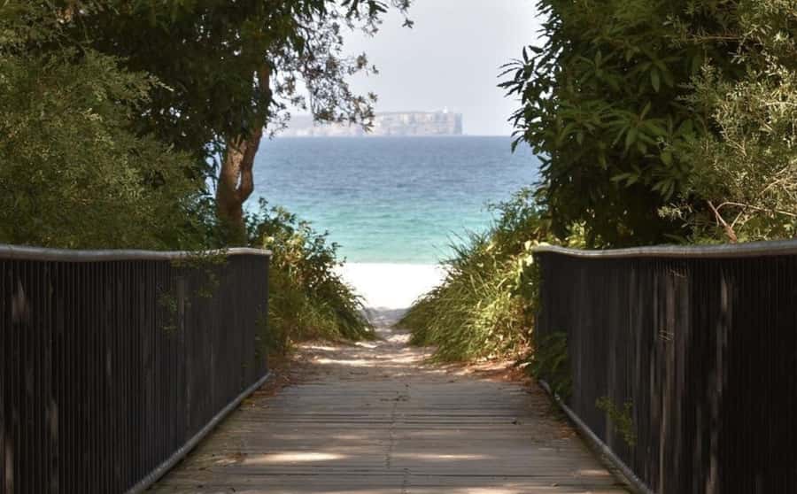 Sydney: Jervis Bay Day Trip with Dolphins, Roos & Beach Time - Why the max-20 group size and bilingual guides matter