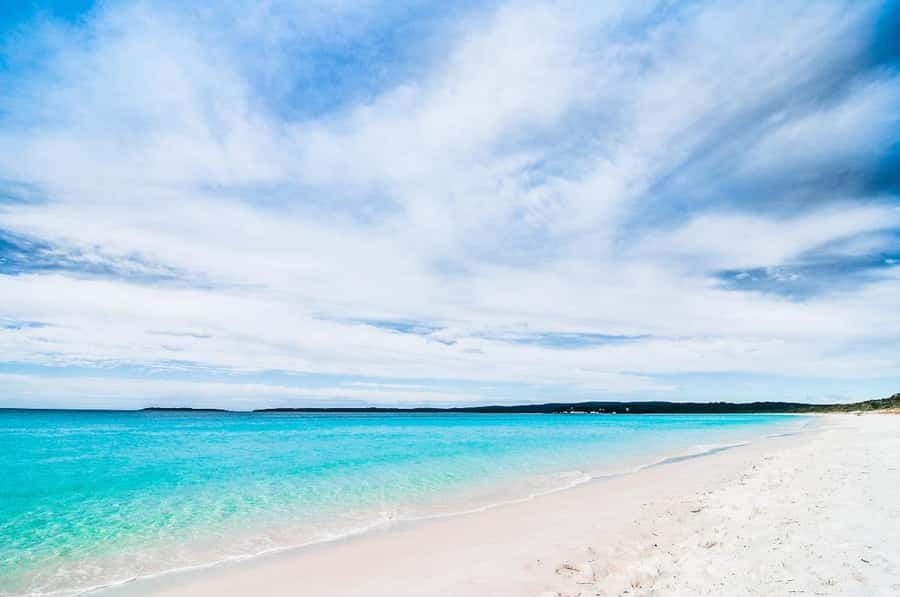 Sydney: Jervis Bay Day Trip with Dolphins, Roos & Beach Time - Price and value: how $120 makes sense for this mix
