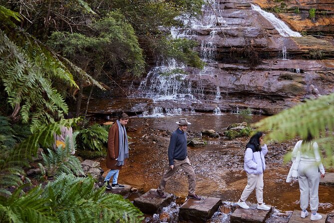 Sydney: Luxury Blue Mountains Adventure as a Small Group Day Tour - Key things I’d zero in on