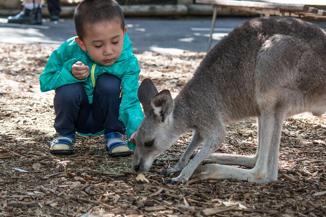 Sydney: Luxury Blue Mountains Adventure as a Small Group Day Tour - Leura lunch break: flexible time, pick-your-own meal