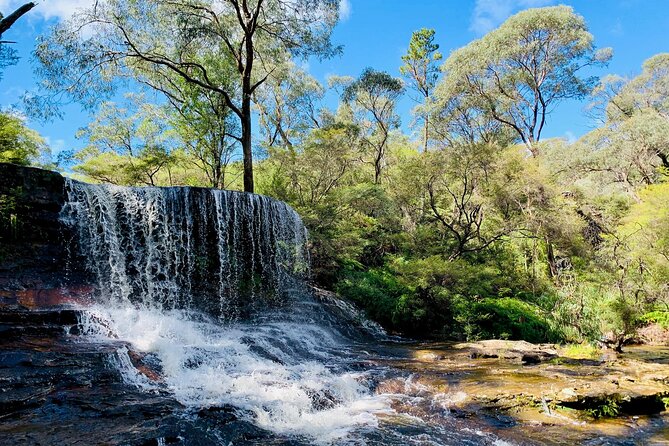 Sydney: Luxury Blue Mountains Adventure as a Small Group Day Tour - Rain, crowds, and guide flexibility you can feel