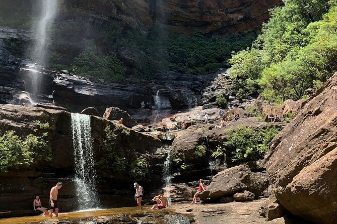 Sydney: Luxury Blue Mountains Adventure as a Small Group Day Tour - Pickup, timing, and why group size actually matters