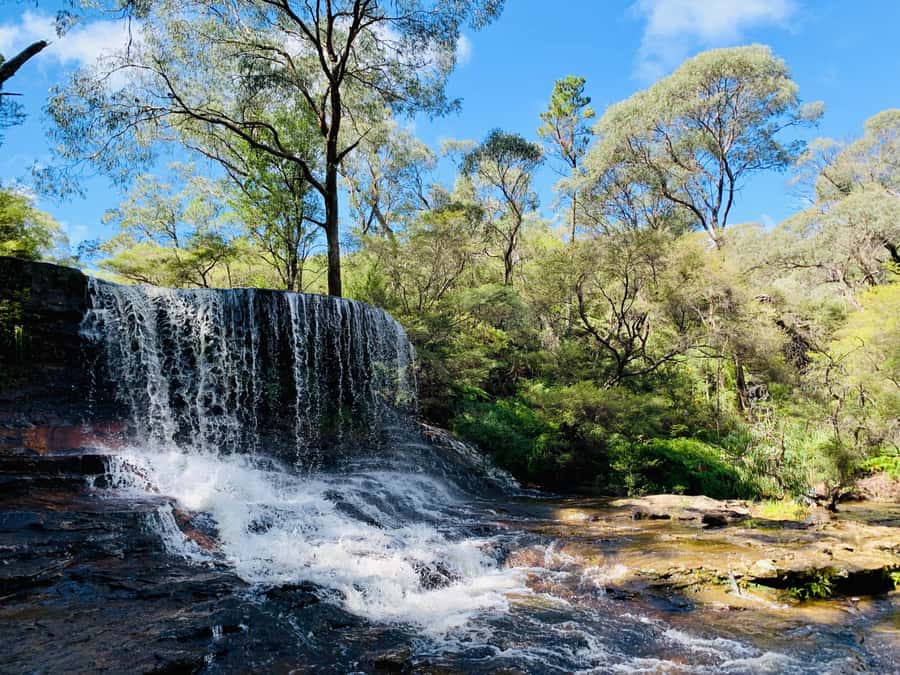 Sydney: Luxury Blue Mountains Adventure with Wentworth Falls - Key things to know before you go