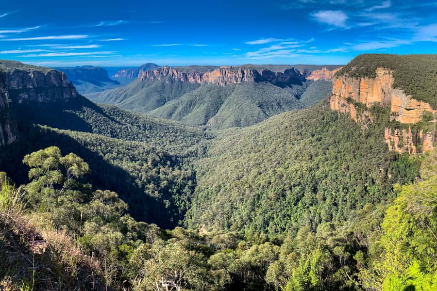 Sydney: Luxury Blue Mountains Adventure with Wentworth Falls - A Blue Mountains day that actually feels relaxed