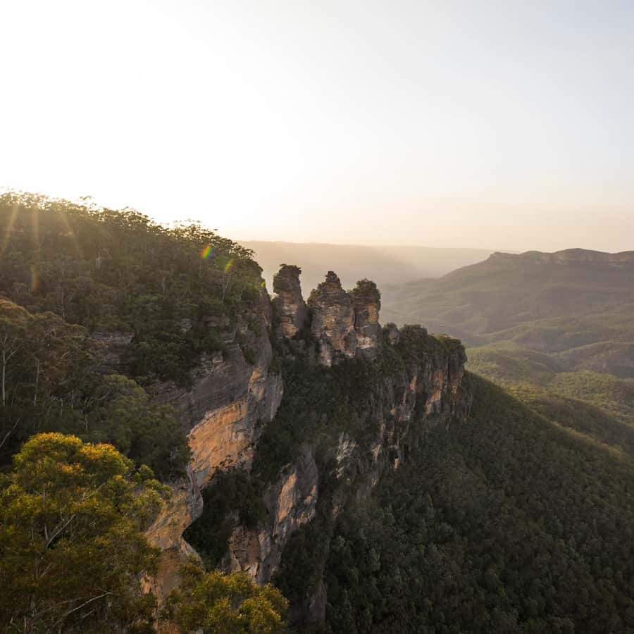 Sydney: Luxury Blue Mountains Adventure with Wentworth Falls - Featherdale Wildlife Park: up-close Australia without the zoo chaos