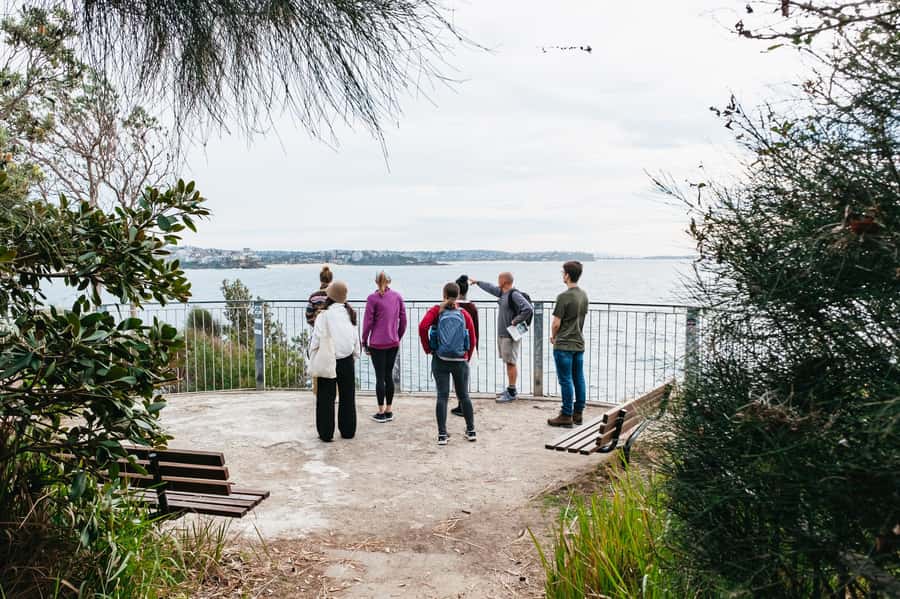 Sydney: Manly and Shelly Beach Snorkeling Tour - Key points that make this snorkeling tour worth your time