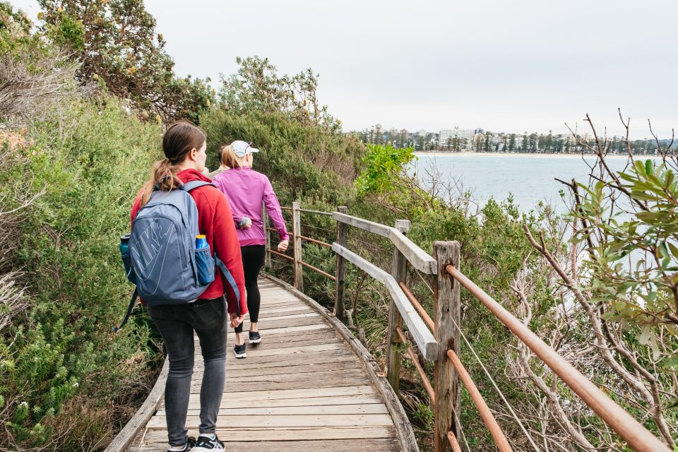 Sydney: Manly and Shelly Beach Snorkeling Tour - What to bring so the day feels easy