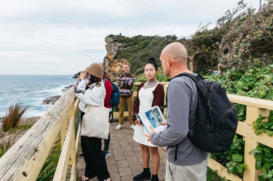 Sydney: Manly and Shelly Beach Snorkeling Tour - The 800m headland nature walk: Northern Beaches views with real context