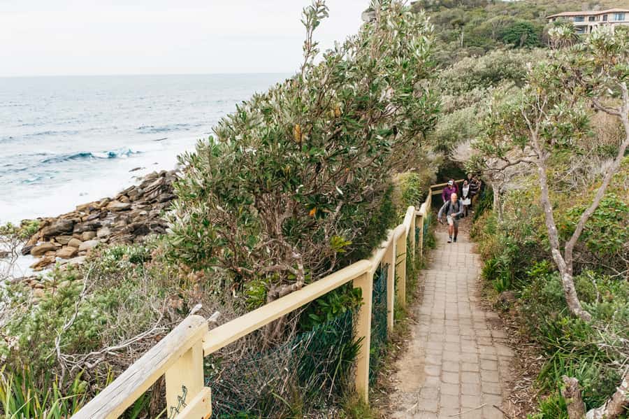 Sydney: Manly and Shelly Beach Snorkeling Tour - Snorkeling at Cabbage Tree Bay Aquatic Reserve: what makes it different
