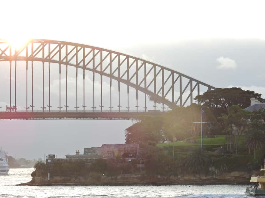 Sydney: Morning or Afternoon Harbour Sightseeing Cruise - Morning vs Afternoon: Pick the Light That Fits Your Mood