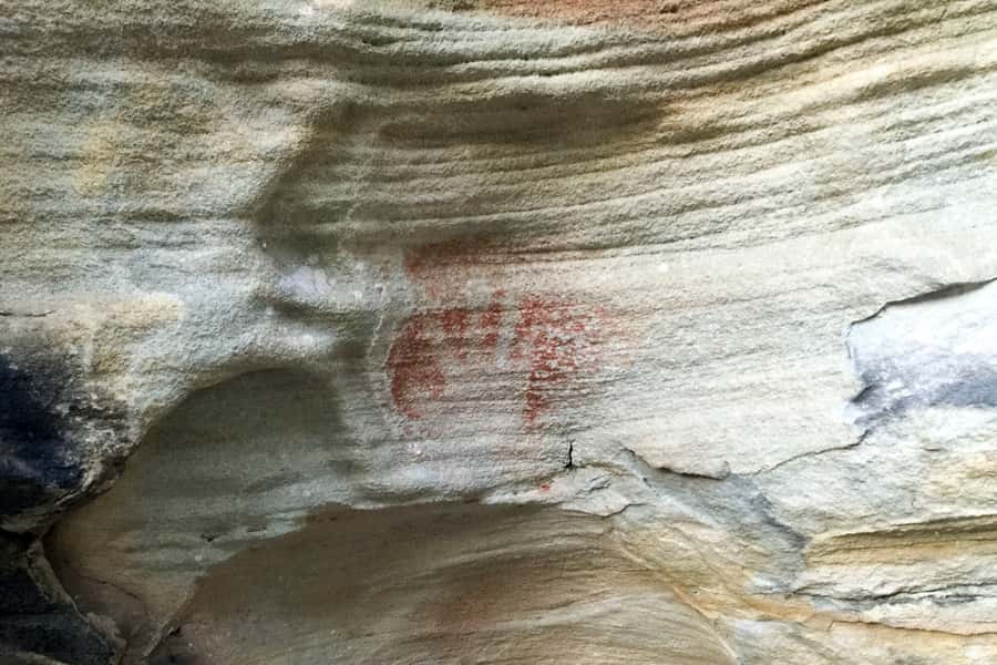 Sydney: Northern Beaches and Ku-ring-gai National Park Tour - Narrabeen Beach and Long Reef Headland: surfing country and whale-watch potential