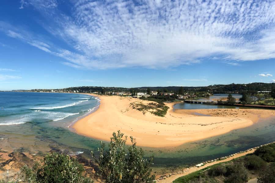 Sydney: Northern Beaches and Ku-ring-gai National Park Tour - Curl Curl coastal walk and Freshwater origins: a calmer stretch between big views