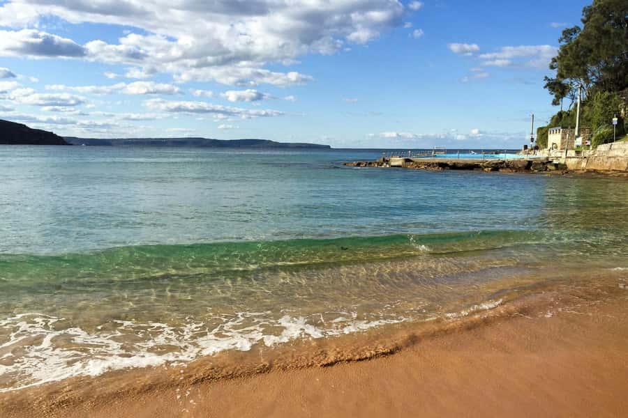 Sydney: Northern Beaches and Ku-ring-gai National Park Tour - Price and what you really get for around $300