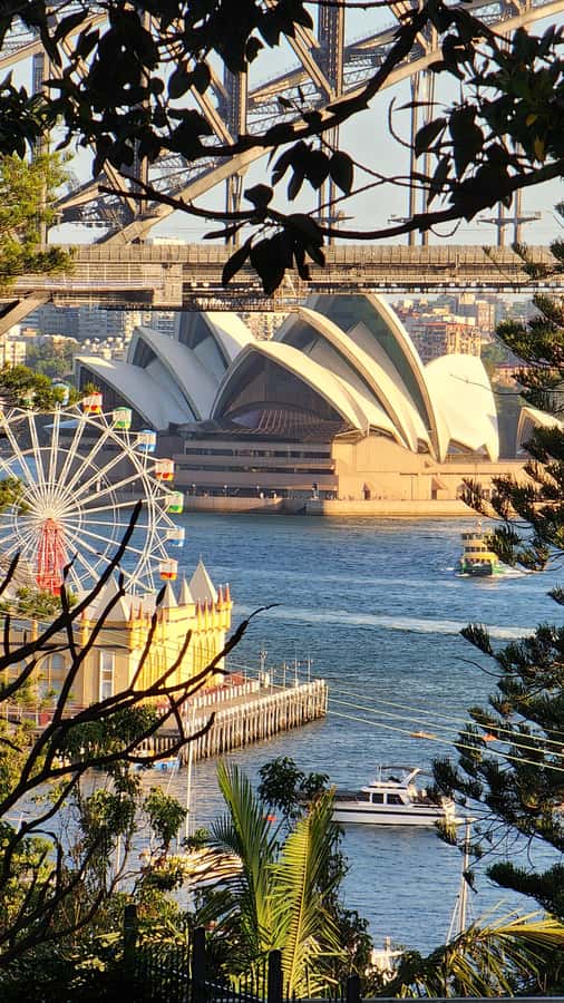Sydney: Opera & Harbour Bridge Small-Group Kayak Tour - First step: finding the blue kayaks at Lavender Bay