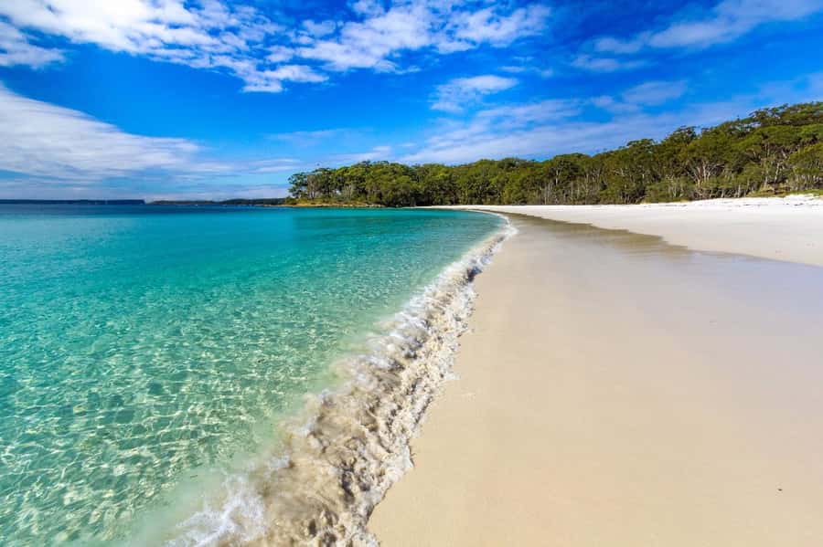 Sydney: Port Stephens Day Trip with Dolphin Cruise or Hike - Key Things I’d Circle Before You Book