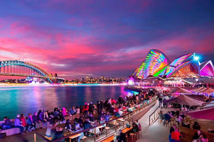 Sydney: Premium Catamaran Vivid Cruise with Welcome Drink - Key takeaways before you go