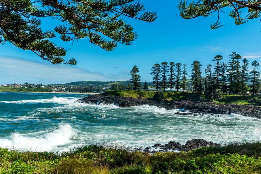 Sydney: Sea Cliff Bridge, Kiama Blowhole and Farmlands Tour - Lunch plus snacks: how the tour keeps you going on a long route