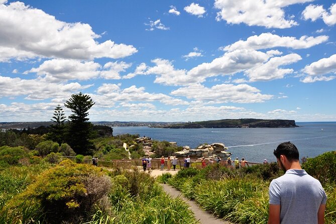 Sydney Sightseeing Bus Tour with Local Guide - Key highlights worth planning for