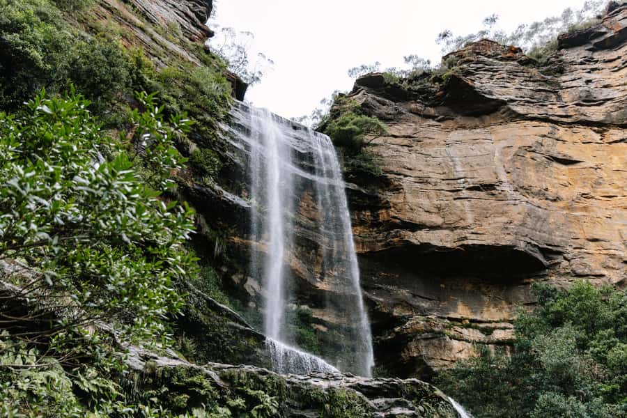 Sydney: Small Group Blue Mountains, Wildlife & Waterfalls - Starting in Sydney without the big-tour chaos