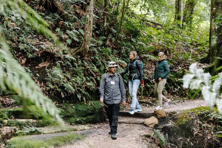 Sydney: Small Group Blue Mountains, Wildlife & Waterfalls - The mini-coach ride: shortcuts to better Blue Mountains viewpoints