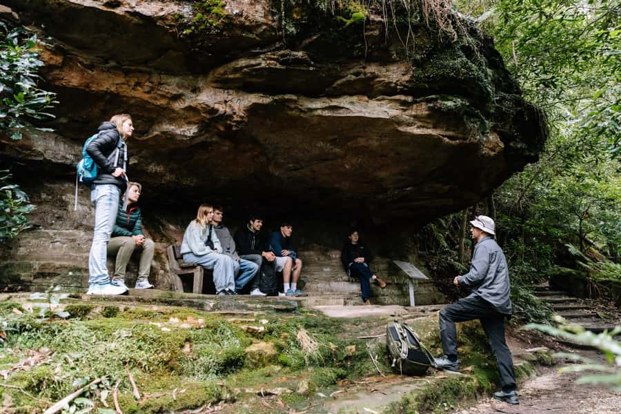 Sydney: Small Group Blue Mountains, Wildlife & Waterfalls - Waterfalls and viewpoints: the guided bush walk fitness reality check