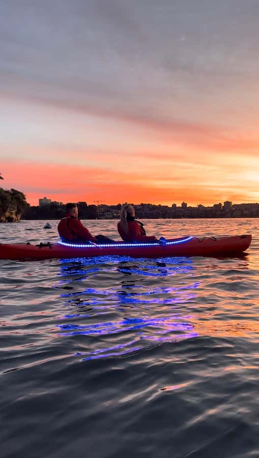 Sydney: Sunrise Kayak, Opera House & Under Harbour Bridge - 1.5 hours of sunrise harbour paddling and possible dolphin sightings