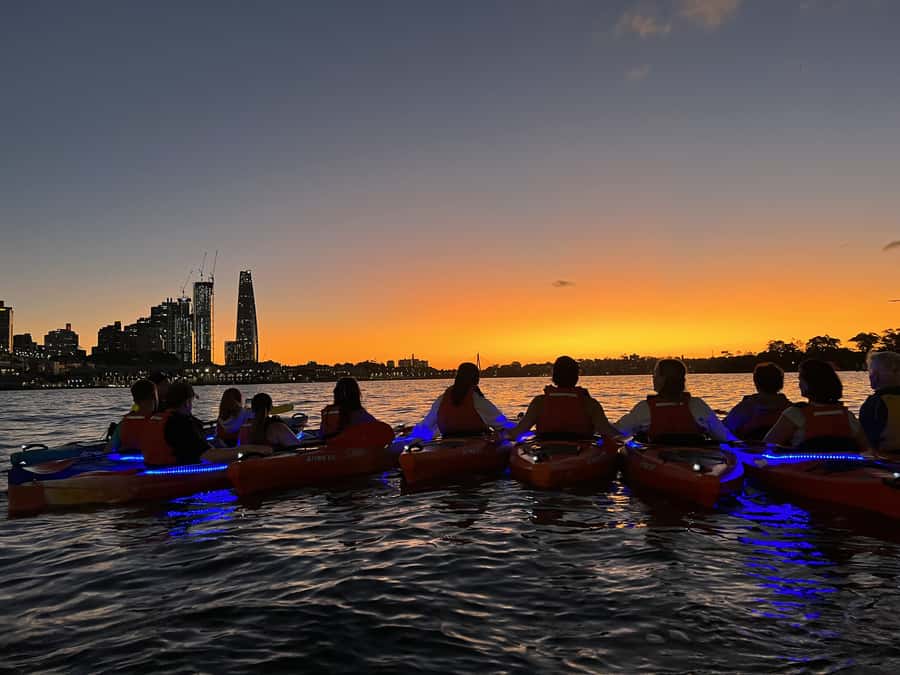 Sydney: Sunset Kayak Tour on Sydney Harbour - Starting at Lavender Bay: getting on the water with confidence