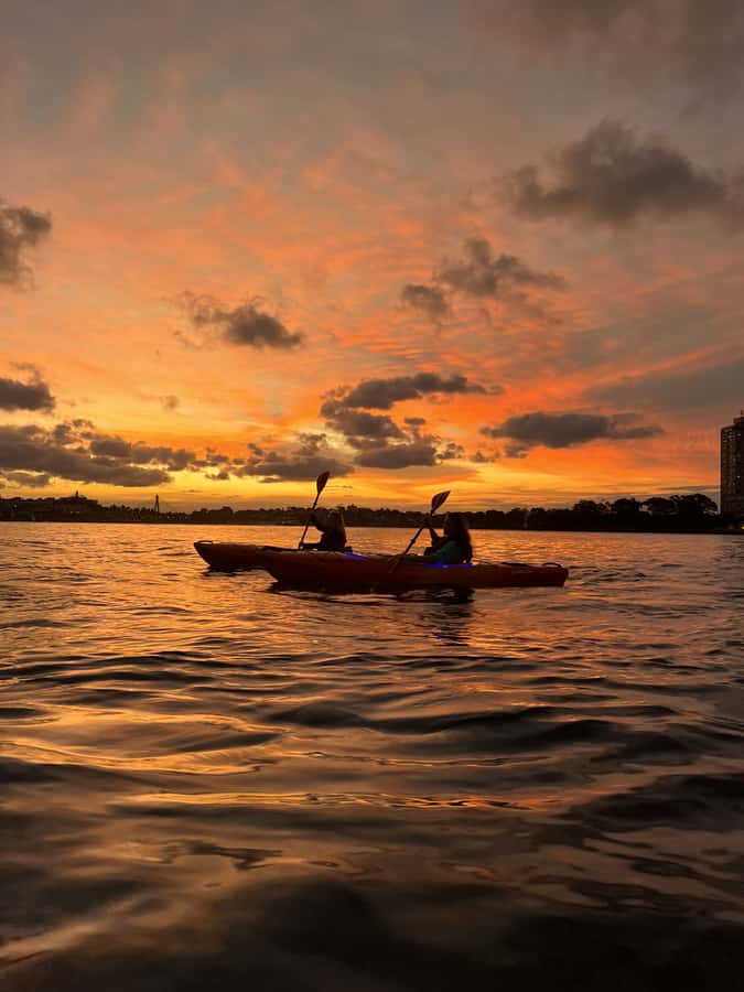 Sydney: Sunset Kayak Tour on Sydney Harbour - Price and value: is $105 worth 90 minutes on the water?