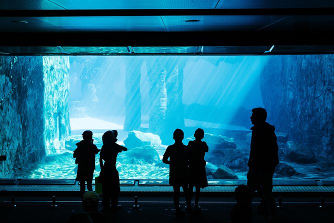 Sydney Taronga Zoo Wild Australia Experience - Australian Animal Encounters: Where You’ll Spend Most of Your Focus