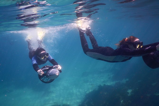 sydney underwater scooter tours - The 2-Hour Flow: From Wetsuit Up to 90 Minutes Exploring
