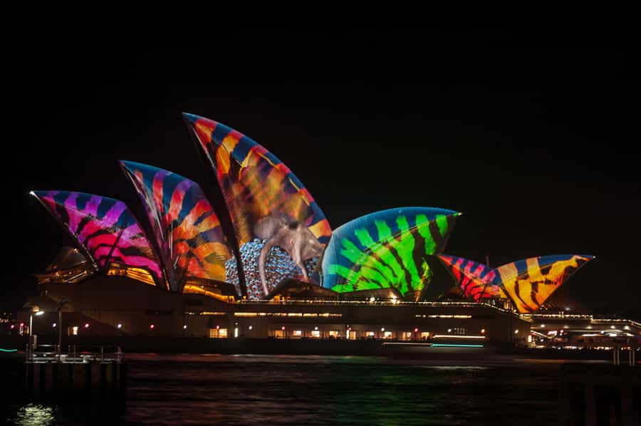 Sydney: Vivid Festival of Light Harbor Cruise with Dinner - King Street Wharf 6: the quick path to boarding