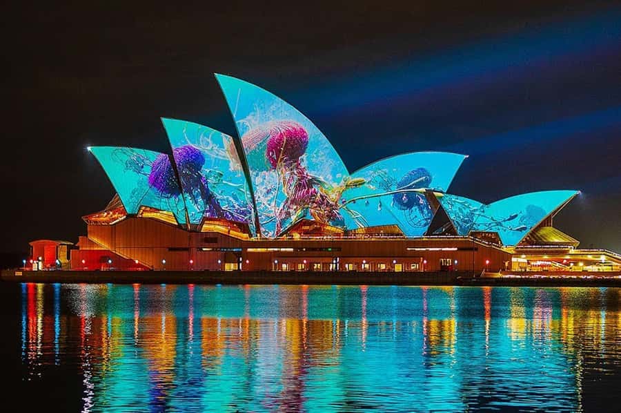 Sydney: Vivid Harbour Cruise with Canapes - Why a Vivid Harbour Cruise beats watching from the shore