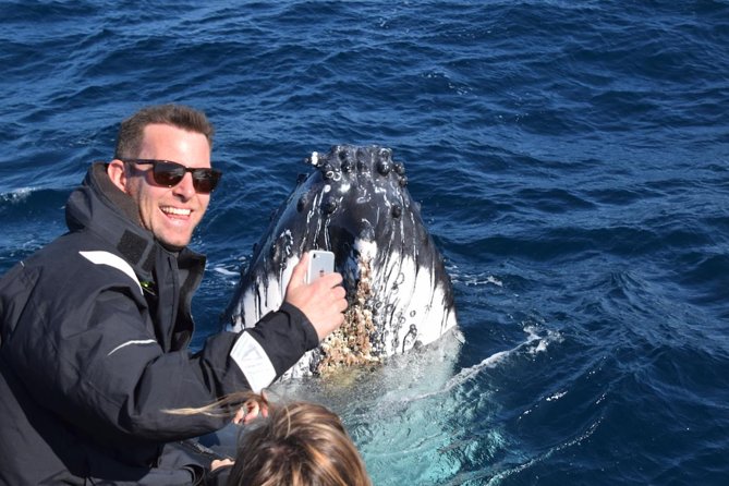 Sydney Whale-Watching by Speed Boat - If the ocean turns rough: how to think about weather risk