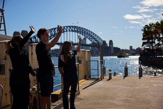 Sydney Whale-Watching Cruise Including Lunch or Breakfast - Deck time, photo time, and the timing of a 4-hour outing