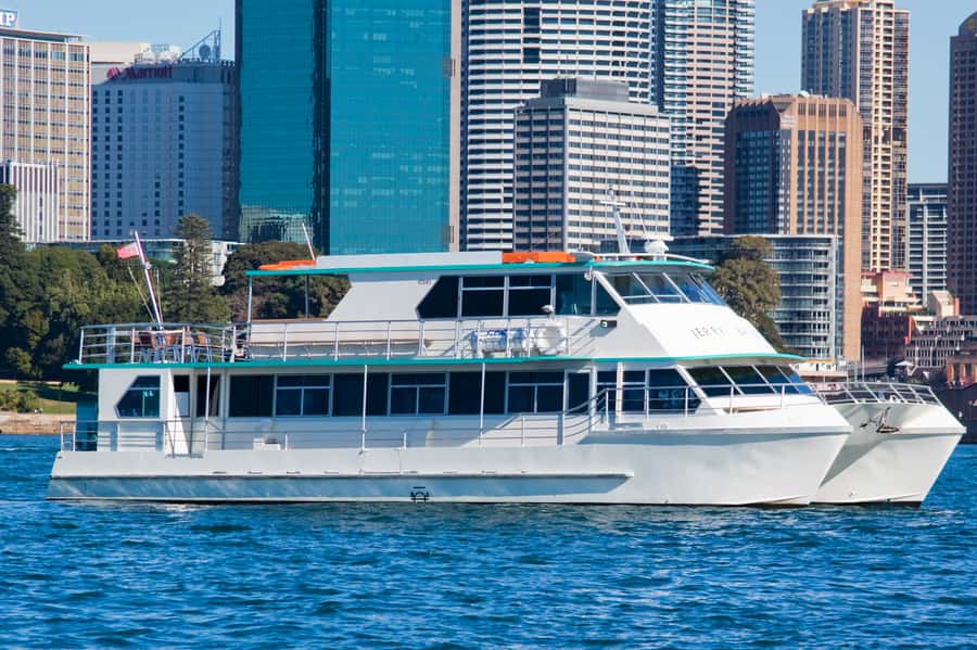 Sydney Whale Watching Cruise with Breakfast or Lunch - Seasickness and safety: don’t treat it like a dare
