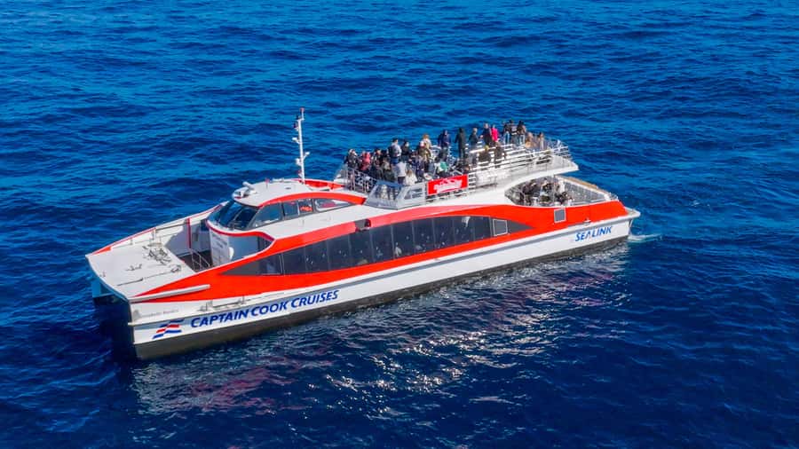 Sydney: Whale Watching & Wildlife Cruise - All-weather lounge vs. open deck: pick your comfort strategy