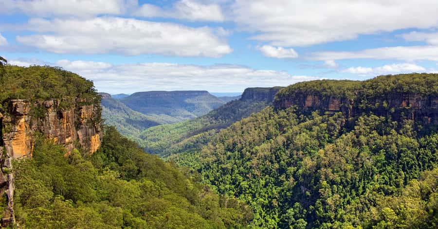 Sydney: Wildlife, Waterfalls and Wine Small Group Tour - Who This Tour Fits Best (and Who Should Skip It)