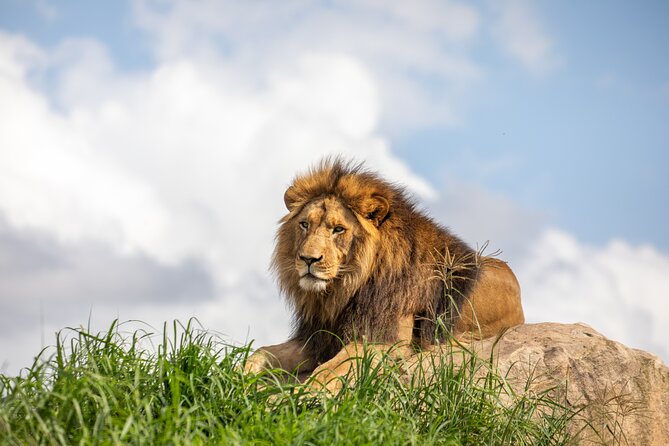Sydney Zoo General Entry Admission Ticket - Quick hits before you go