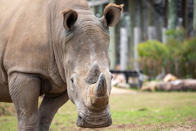 Sydney Zoo General Entry Admission Ticket - Sydney Zoo’s Bungarribee Wildlife Experience: what you get for your $43.03