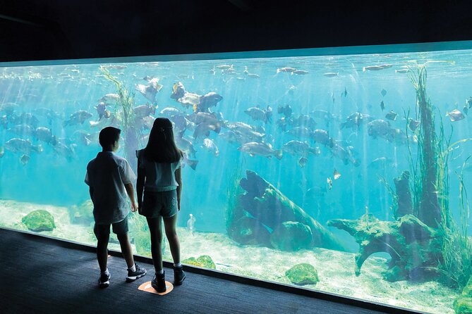Sydney Zoo General Entry Admission Ticket - Price and value: is $43.03 a fair deal?