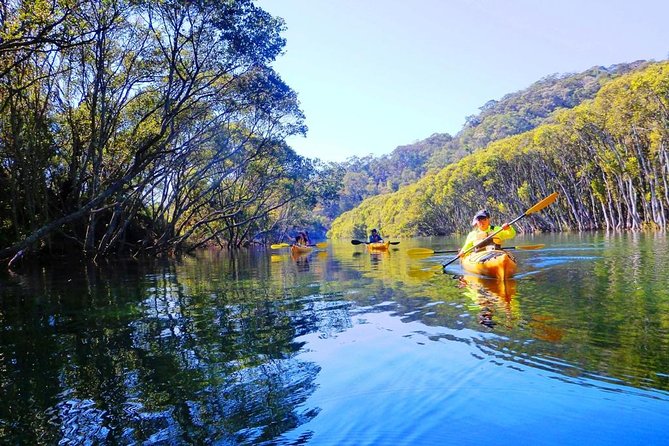 Sydney's Middle Harbour Sea Kayaking Eco Tour (Fully Guided) - Middle Harbour and Garigal National Park: Why This Route Feels Special