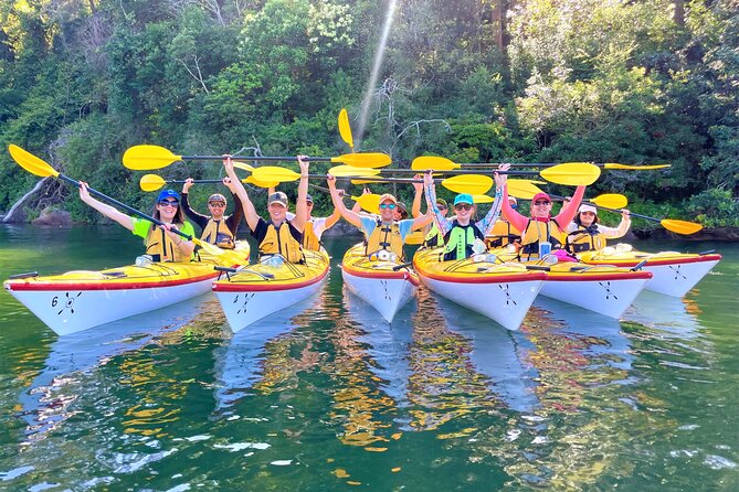 Sydney's Middle Harbour Sea Kayaking Eco Tour (Fully Guided) - Wildlife Spotting: Getting More Than Pretty Water